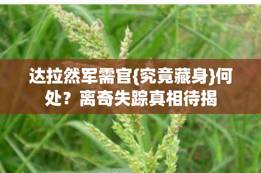 达拉然军需官{究竟藏身}何处?离奇失踪真相待揭 达拉然军需官{究竟藏身}何处?离奇失踪真相待揭