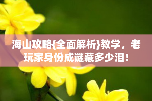 海山攻略{全面解析}教学，老玩家身份成谜藏多少泪！