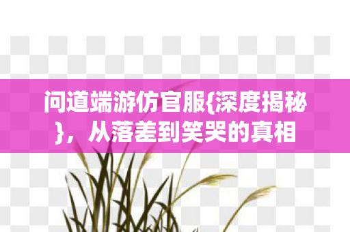 从落差到笑哭的真相图片