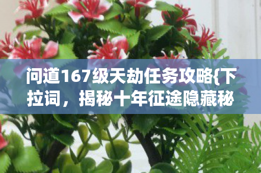 问道167级天劫任务攻略图片