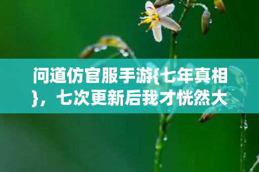 七次更新后我才恍然大悟图片