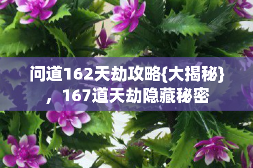 167道天劫隐藏秘密图片
