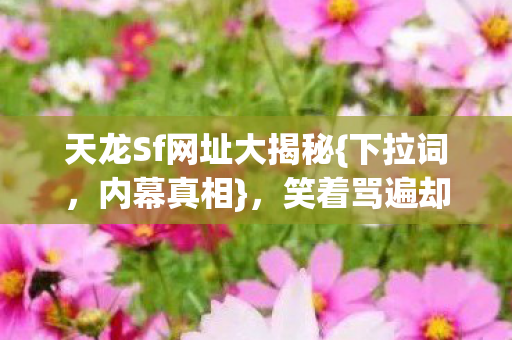 天龙Sf网址大揭秘图片