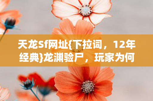 天龙Sf网址图片