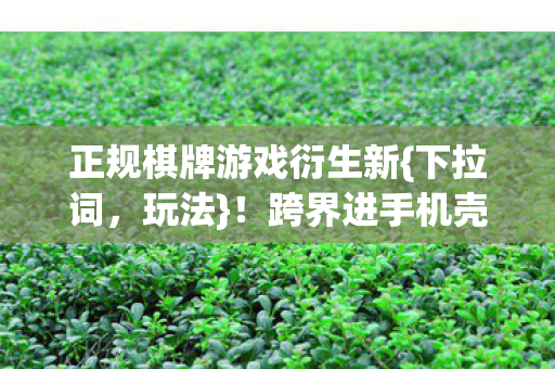 正规棋牌游戏衍生新图片