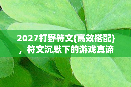 符文沉默下的游戏真谛图片