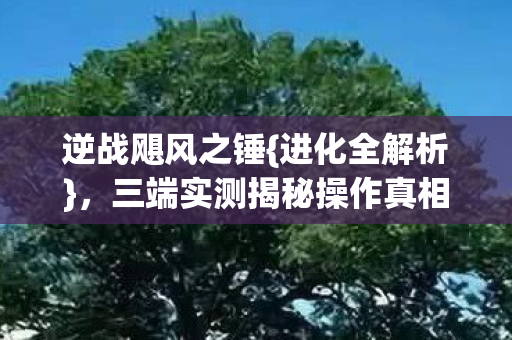 三端实测揭秘操作真相图片