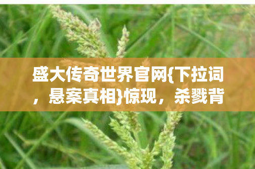 盛大传奇世界官网图片