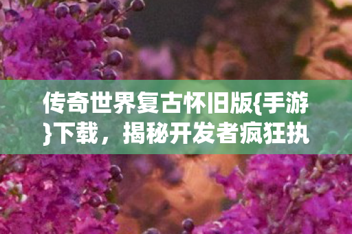 传奇世界复古怀旧版图片
