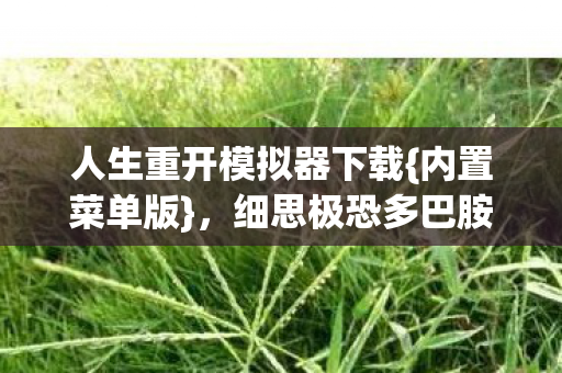 人生重开模拟器下载{内置菜单版},细思极恐多巴胺轮回 人生重开模拟器下载{内置菜单版},细思极恐多巴胺轮回
