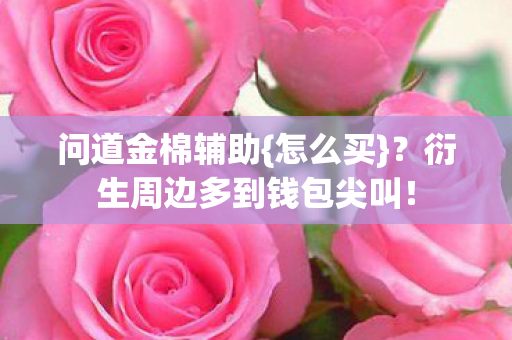 衍生周边多到钱包尖叫图片
