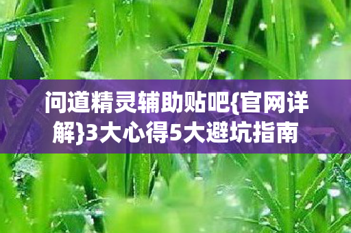 问道精灵辅助贴吧{官网详解}3大心得5大避坑指南