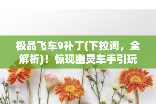 惊现幽灵车手引玩家热议图片