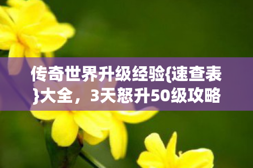 传奇世界升级经验{速查表}大全,3天怒升50级攻略 传奇世界升级经验{速查表}大全,3天怒升50级攻略