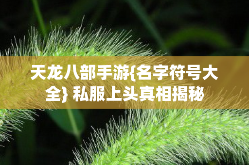 私服上头真相揭秘图片