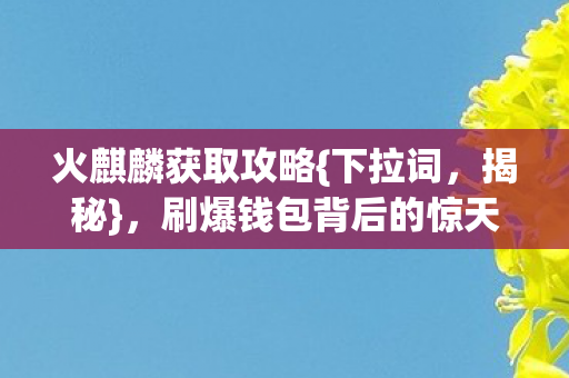 火麒麟获取攻略{下拉词，揭秘}，刷爆钱包背后的惊天骗局？