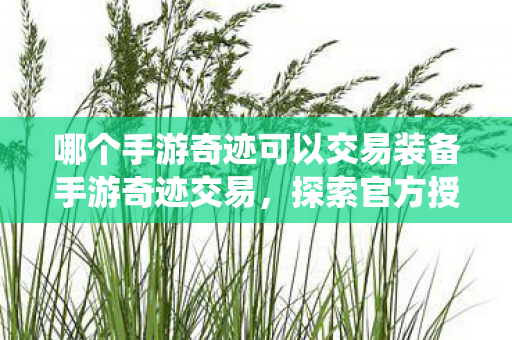 哪个手游奇迹可以交易装备手游奇迹交易图片