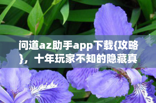 问道az助手app下载{攻略}，十年玩家不知的隐藏真相