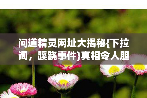 问道精灵网址大揭秘{下拉词,蹊跷事件}真相令人胆寒 问道精灵网址大揭秘{下拉词,蹊跷事件}真相令人胆寒