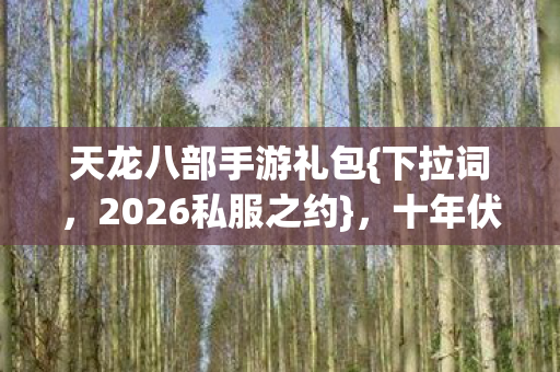 天龙八部手游礼包图片