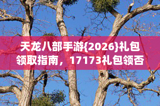17173礼包领否图片