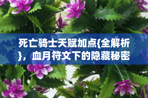 死亡骑士天赋加点{全解析},血月符文下的隐藏秘密 死亡骑士天赋加点{全解析},血月符文下的隐藏秘密