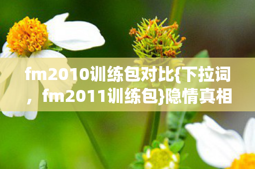 fm2010训练包对比{下拉词,fm2011训练包}隐情真相大揭秘 fm2010训练包对比{下拉词,fm2011训练包}隐情真相大揭秘
