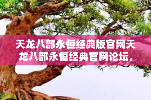 天龙八部永恒经典版官网天龙八部永恒经典官网论坛图片