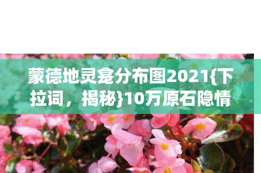 蒙德地灵龛分布图2021{下拉词，揭秘}10万原石隐情与策划真相