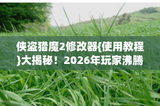 侠盗猎魔2修改器{使用教程}大揭秘！2026年玩家沸腾