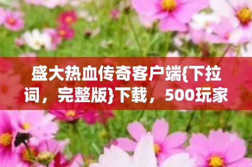 盛大热血传奇客户端{下拉词，完整版}下载，500玩家亲测揭秘
