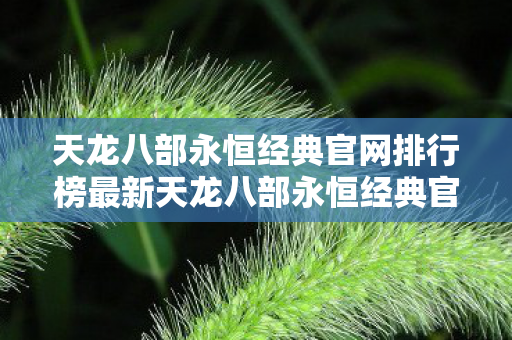 天龙八部永恒经典官网排行榜最新天龙八部永恒经典官网排行榜图片