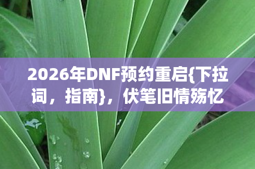 2026年DNF预约重启{下拉词，指南}，伏笔旧情殇忆当年