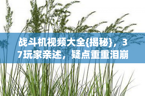 战斗机视频大全{揭秘}，37玩家亲述，疑点重重泪崩网吧