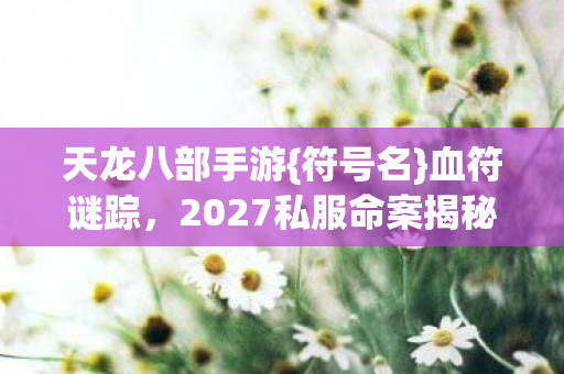 2027私服命案揭秘图片
