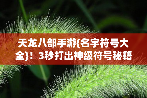 3秒打出神级符号秘籍图片