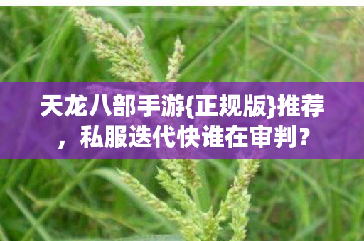 私服迭代快谁在审判图片