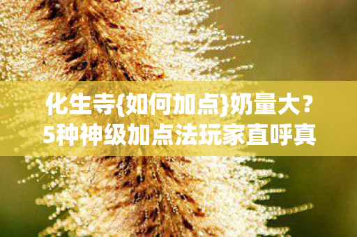 化生寺{如何加点}奶量大?5种神级加点法玩家直呼真香 化生寺{如何加点}奶量大?5种神级加点法玩家直呼真香