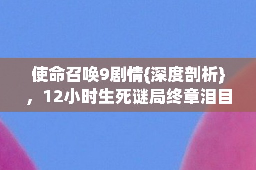 使命召唤9剧情{深度剖析}，12小时生死谜局终章泪目