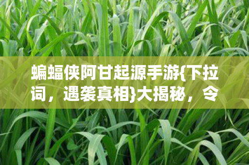 蝙蝠侠阿甘起源手游{下拉词，遇袭真相}大揭秘，令人发凉！