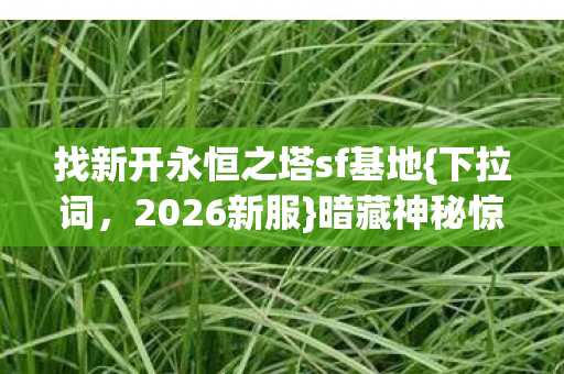 找新开永恒之塔sf基地{下拉词，2026新服}暗藏神秘惊喜