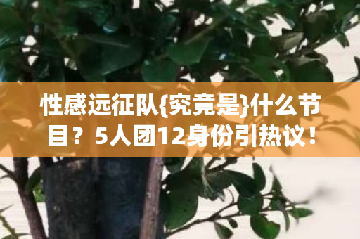 性感远征队{究竟是}什么节目？5人团12身份引热议！