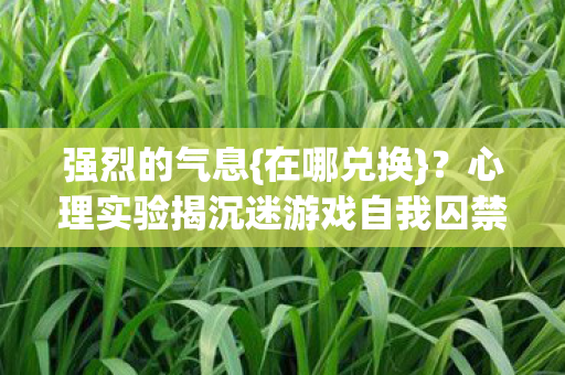强烈的气息{在哪兑换}?心理实验揭沉迷游戏自我囚禁 强烈的气息{在哪兑换}?心理实验揭沉迷游戏自我囚禁