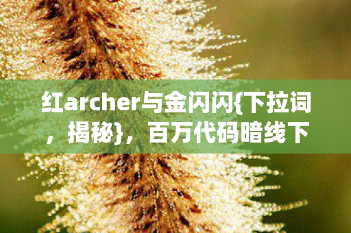 红archer与金闪闪{下拉词,揭秘},百万代码暗线下的社恐逆袭 红archer与金闪闪{下拉词,揭秘},百万代码暗线下的社恐逆袭
