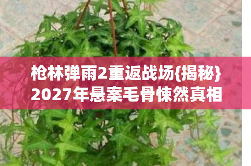 枪林弹雨2重返战场{揭秘}2027年悬案毛骨悚然真相 枪林弹雨2重返战场{揭秘}2027年悬案毛骨悚然真相