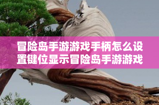 冒险岛手游游戏手柄怎么设置键位显示冒险岛手游游戏手柄怎么设置键位,冒险岛手游游戏手柄键位设置指南 冒险岛手游游戏手柄怎么设置键位显示冒险岛手游游戏手柄怎么设置键位,冒险岛手游游戏手柄键位设置指南