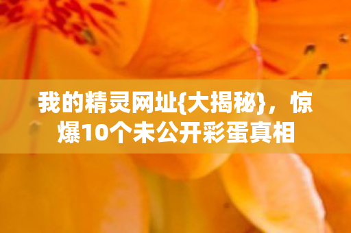 我的精灵网址{大揭秘},惊爆10个未公开彩蛋真相 我的精灵网址{大揭秘},惊爆10个未公开彩蛋真相