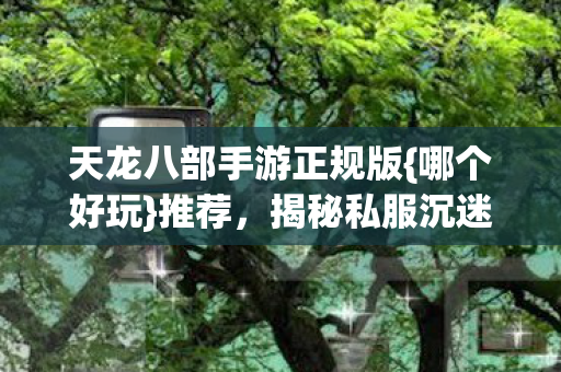 天龙八部手游正规版图片