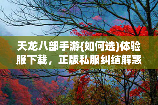 正版私服纠结解惑图片