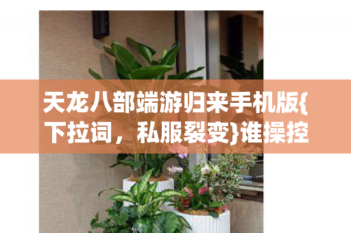 天龙八部端游归来手机版图片